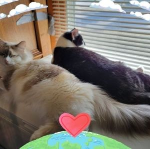 Meet your Posher, Rita